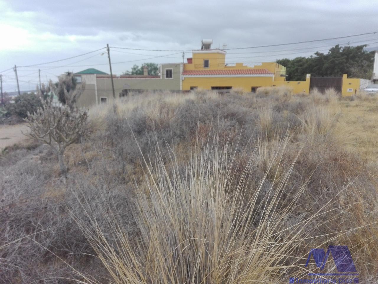 For sale of land in Candelaria