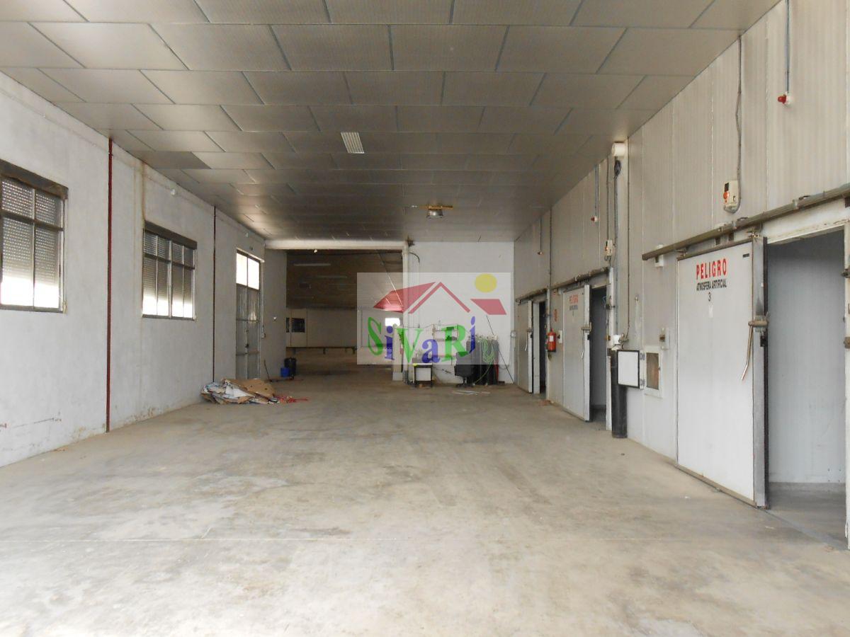 For sale of industrial plant/warehouse in Abarán
