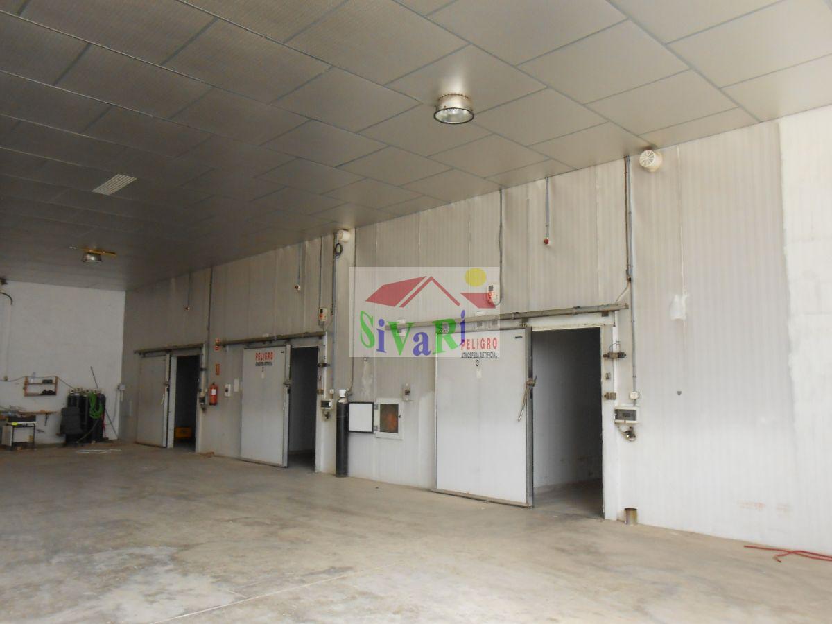 For sale of industrial plant/warehouse in Abarán