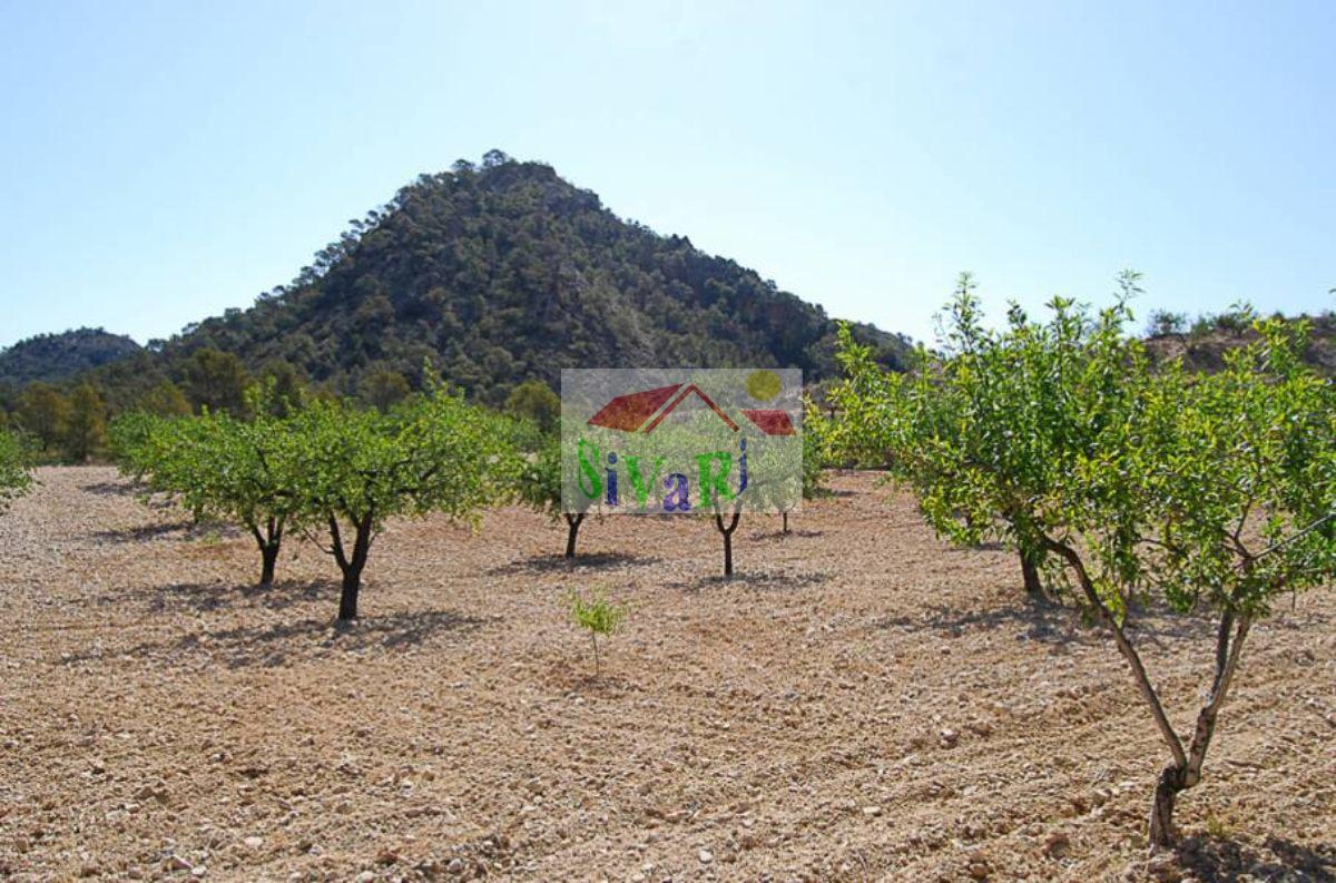 For sale of flat in Abarán