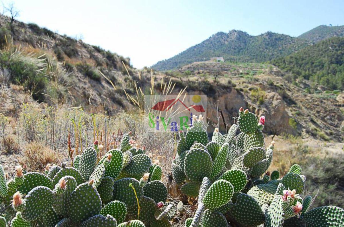 Venta de piso en Abarán