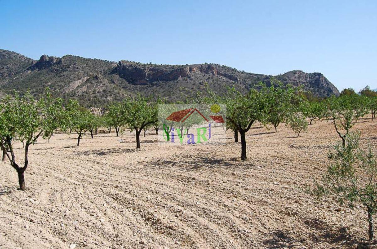 For sale of flat in Abarán