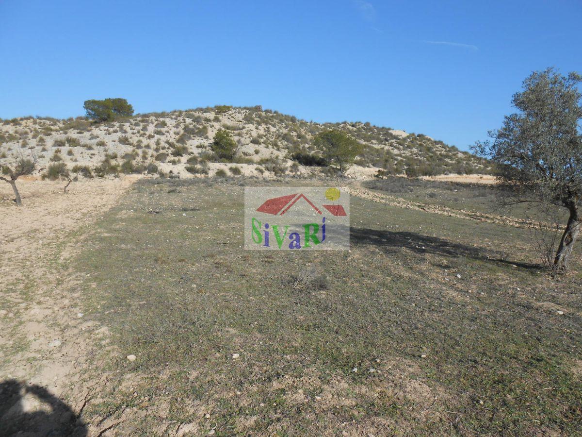 For sale of land in Cieza