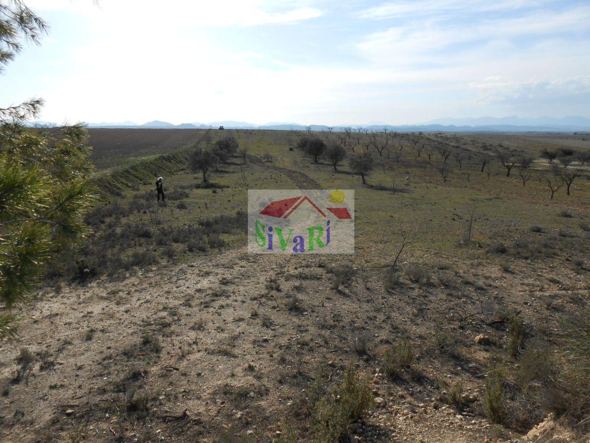 Venta de terreno en Cieza