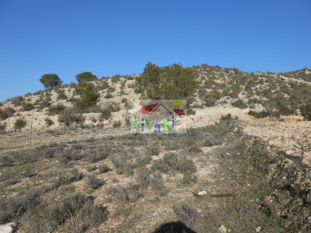 For sale of land in Cieza