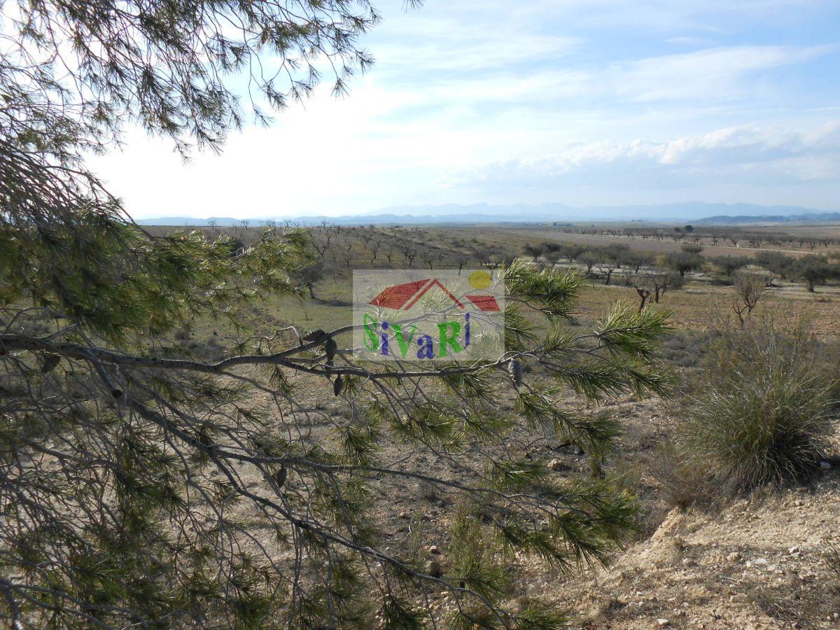 For sale of land in Cieza