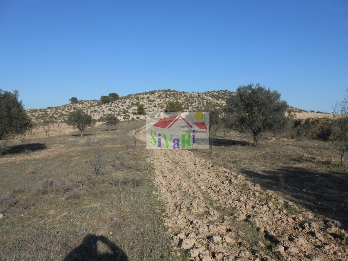 For sale of land in Cieza