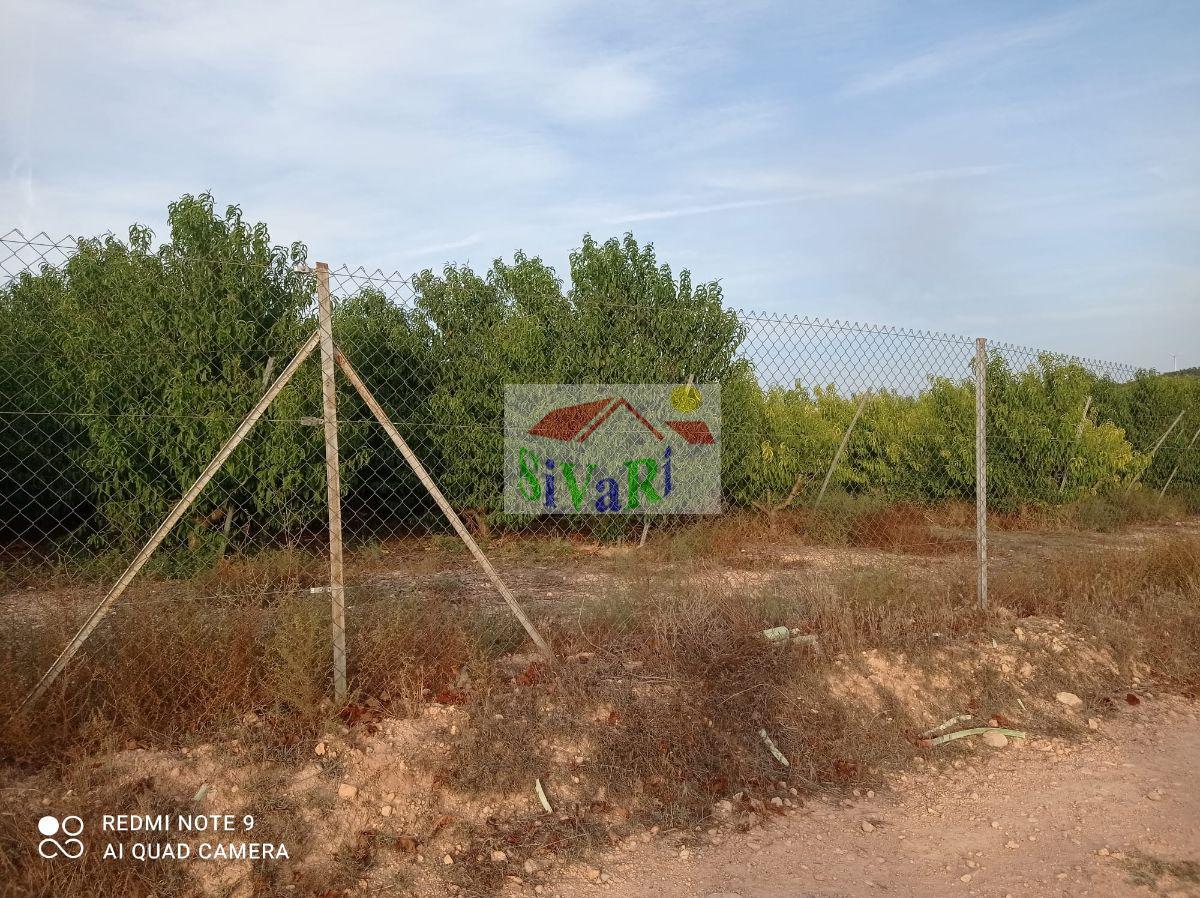 Venta de finca rústica en Montealegre del Castillo