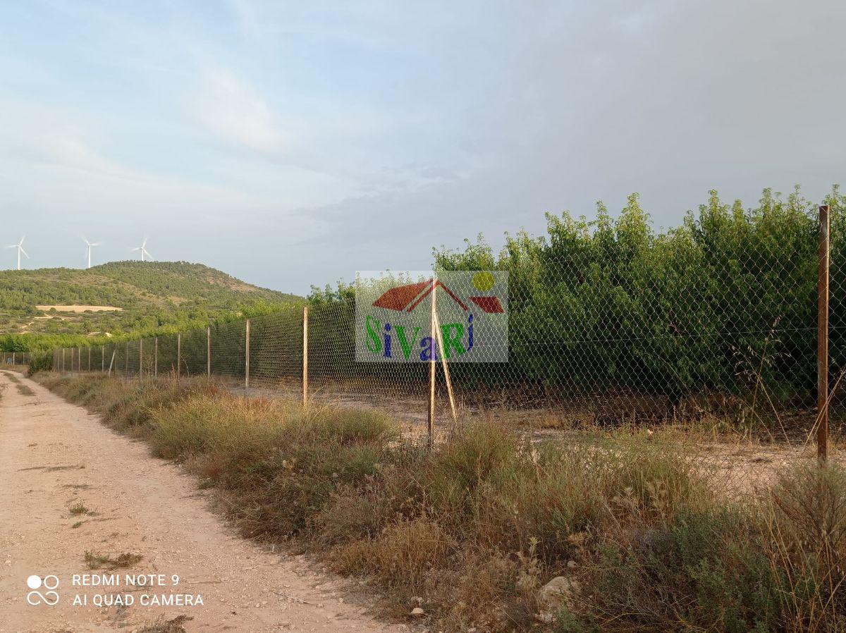 Venta de finca rústica en Montealegre del Castillo