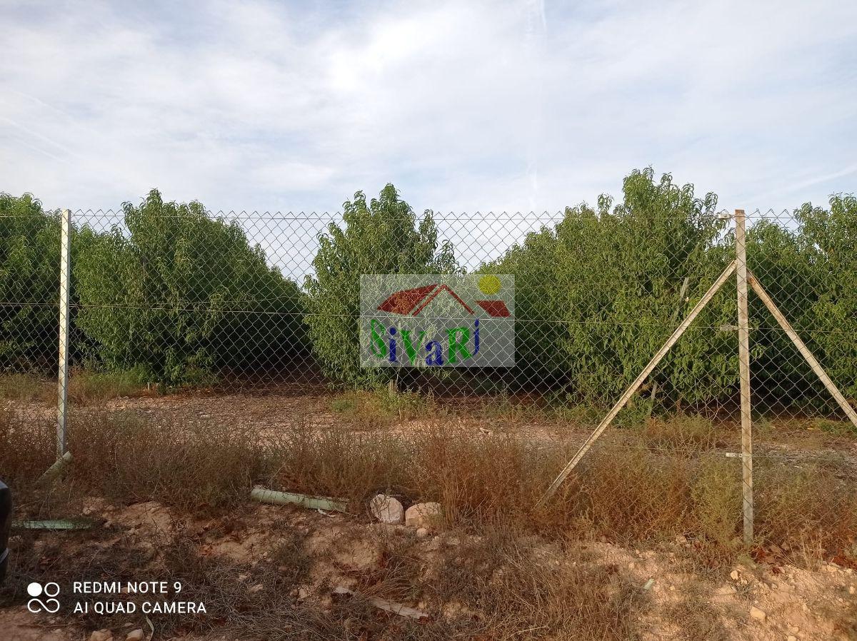 Venta de finca rústica en Montealegre del Castillo