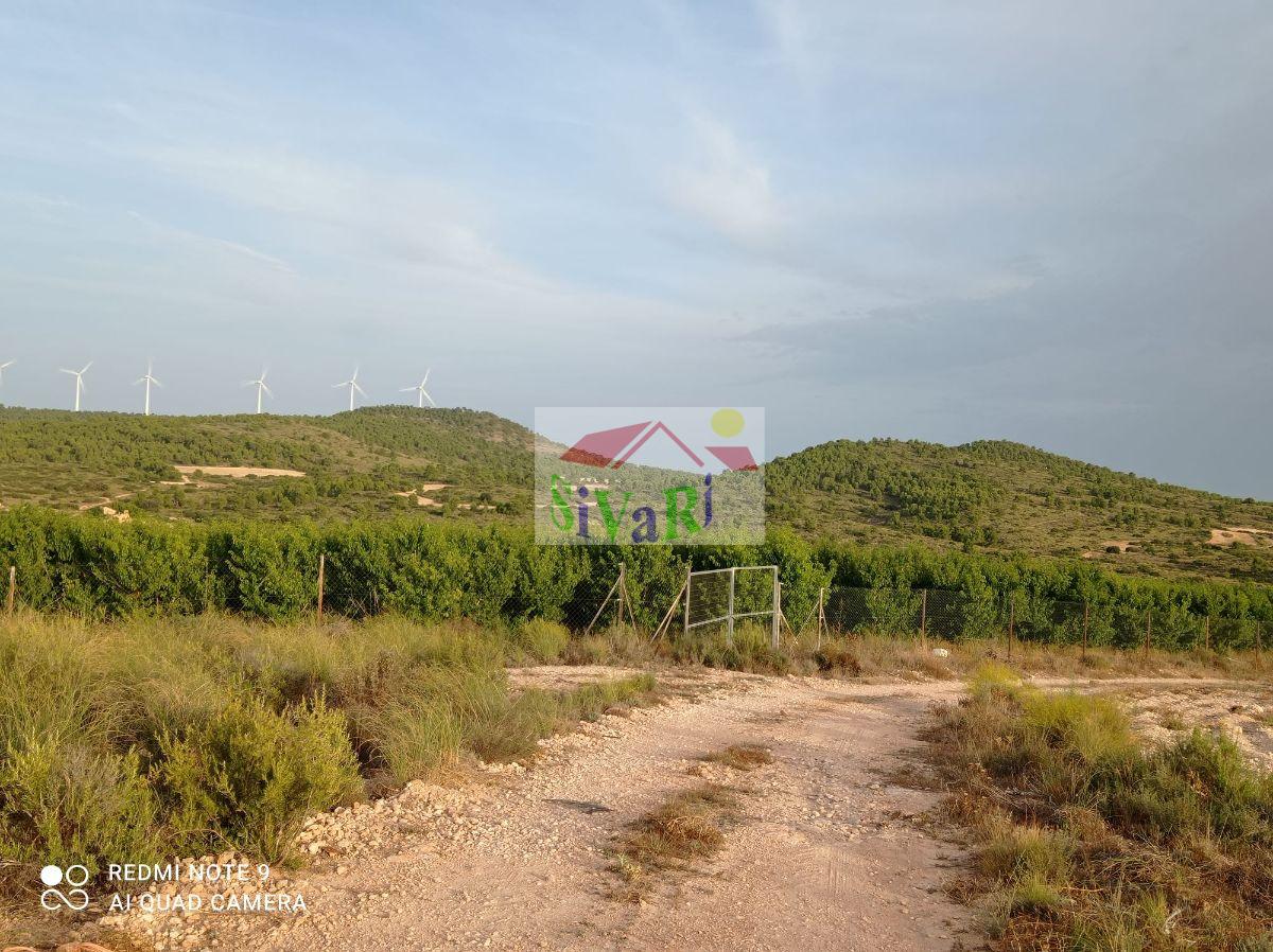 Venta de finca rústica en Montealegre del Castillo