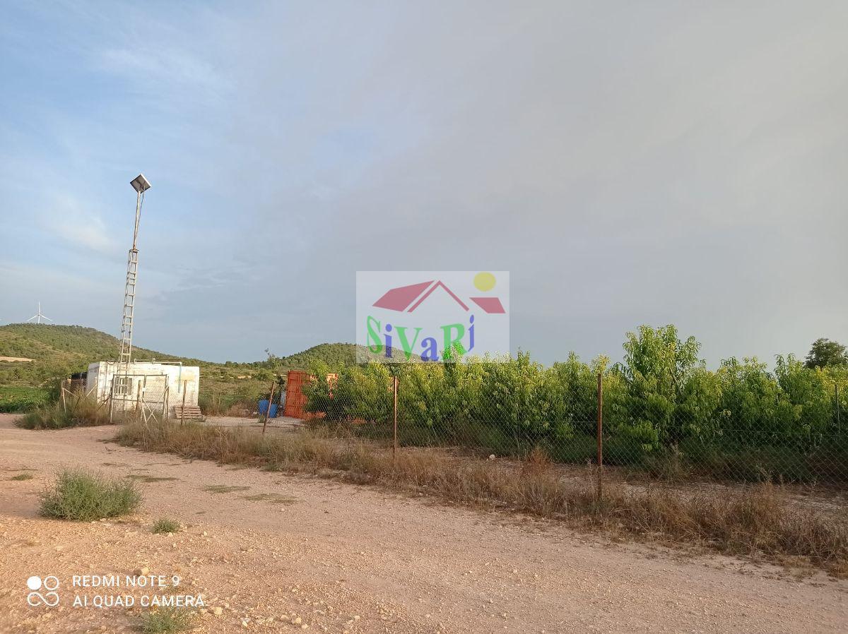 Venta de finca rústica en Montealegre del Castillo