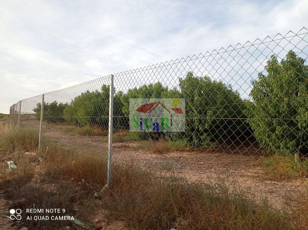 Venta de finca rústica en Montealegre del Castillo