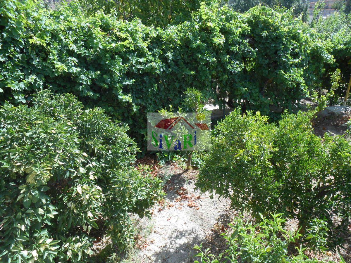 Venta de finca rústica en Abarán