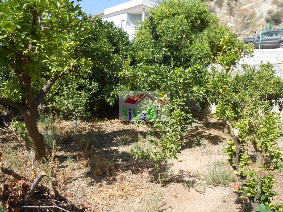 For sale of rural property in Abarán