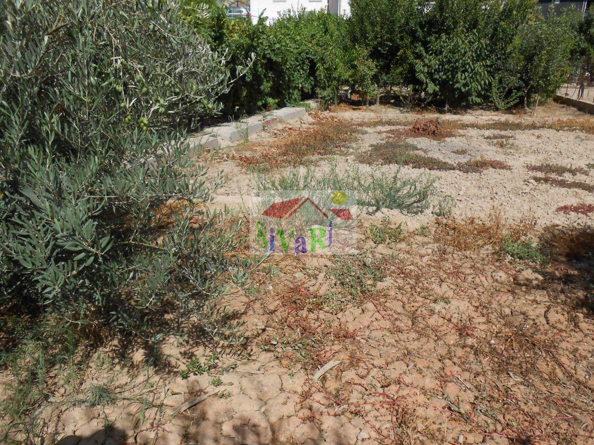 For sale of rural property in Abarán