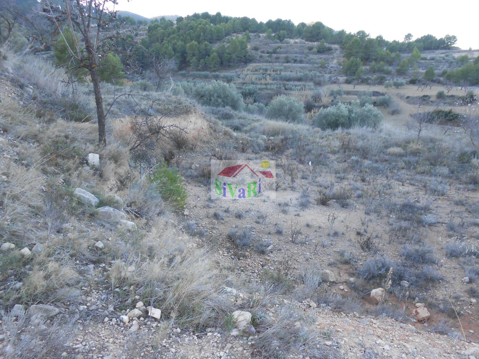 Venta de terreno en Ricote