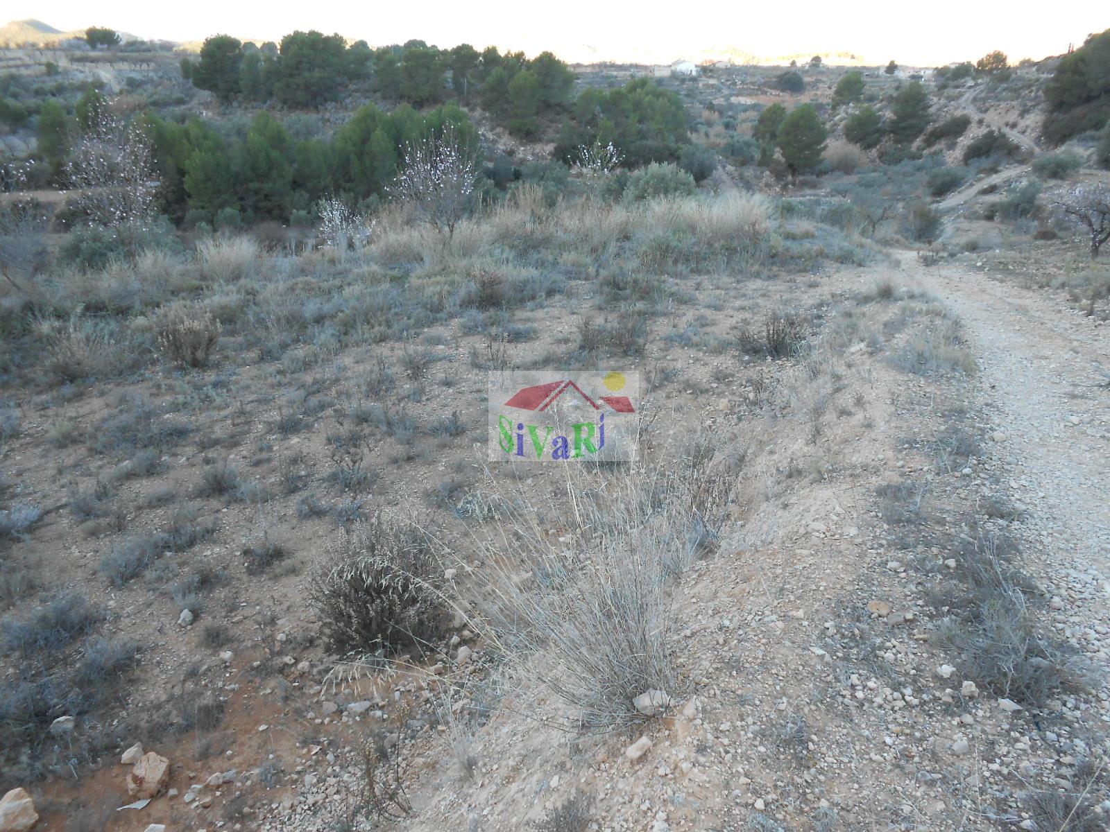 For sale of land in Ricote
