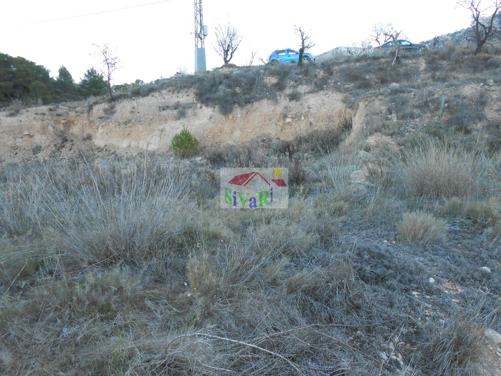 For sale of land in Ricote