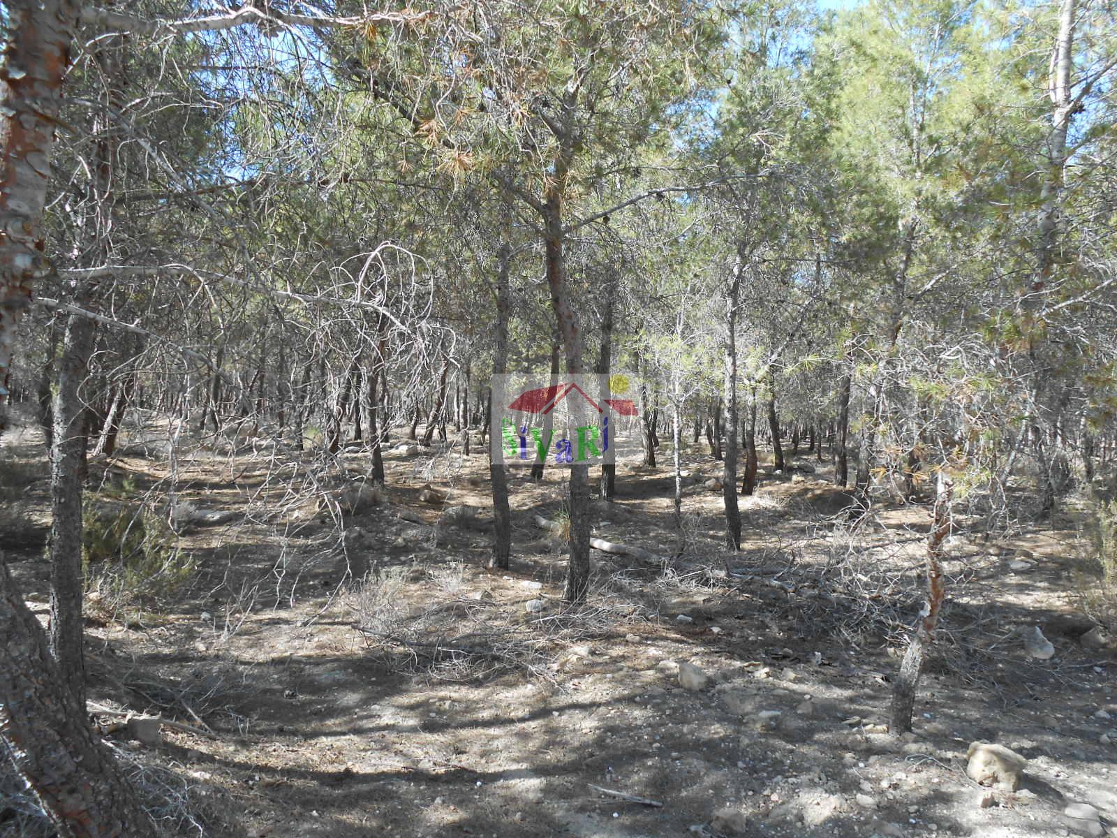 For sale of chalet in Abarán