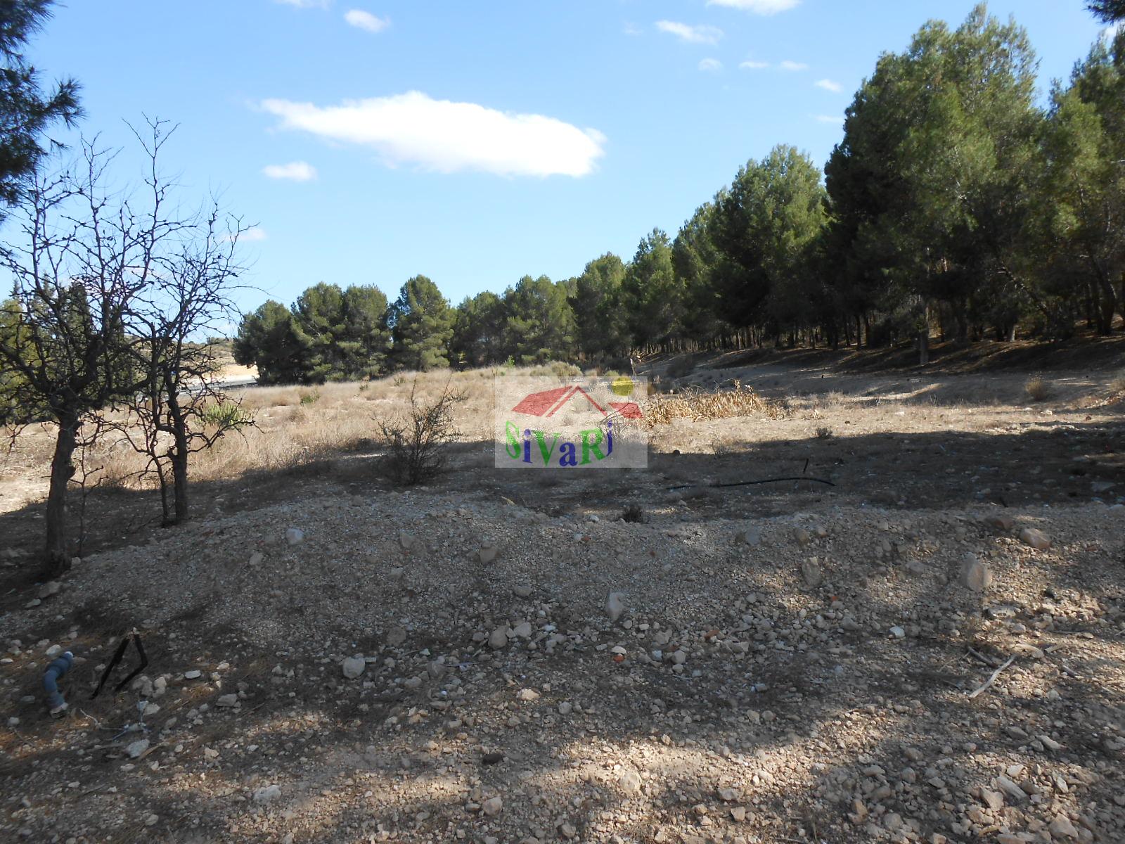 For sale of chalet in Abarán