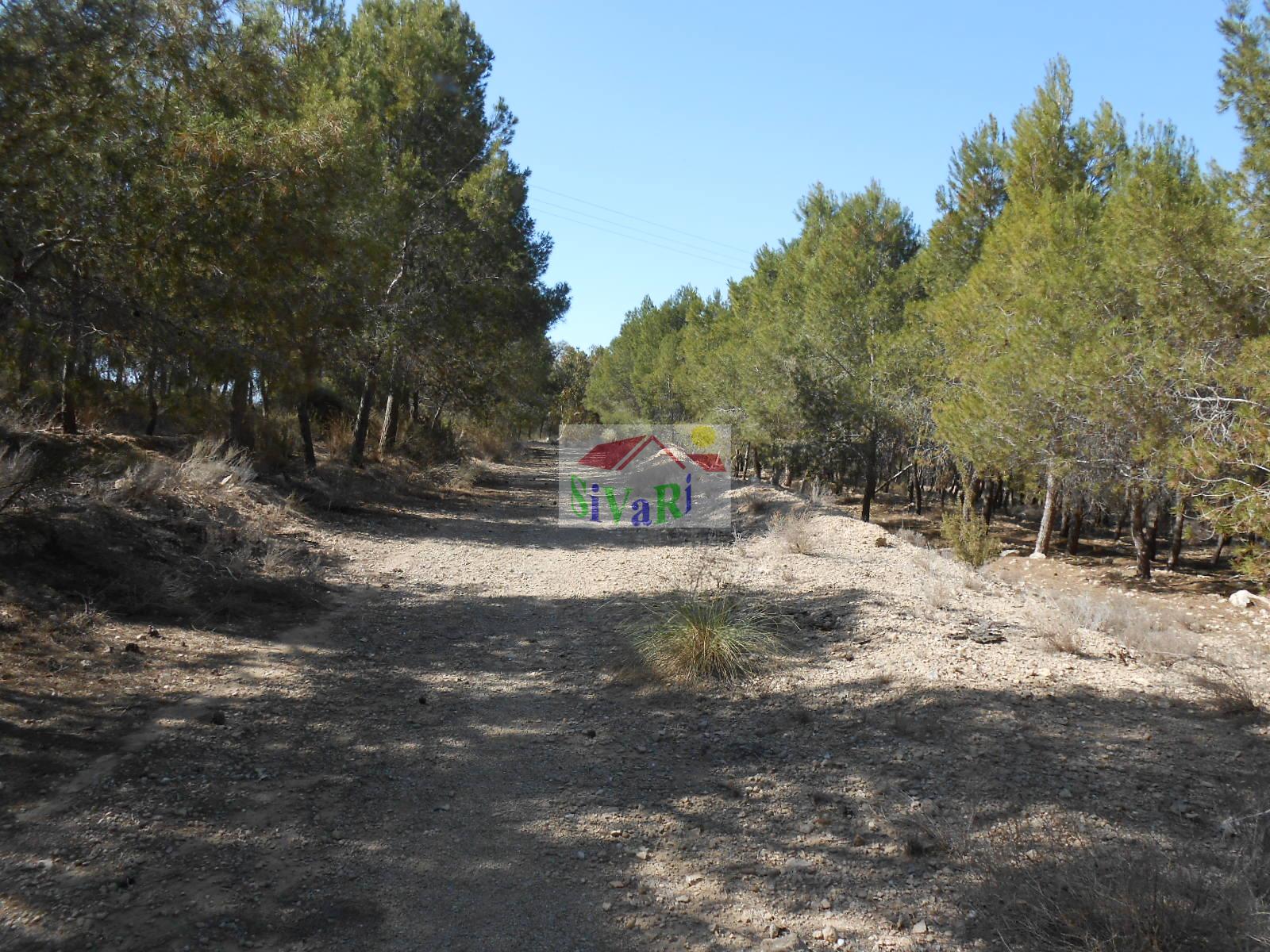 For sale of chalet in Abarán