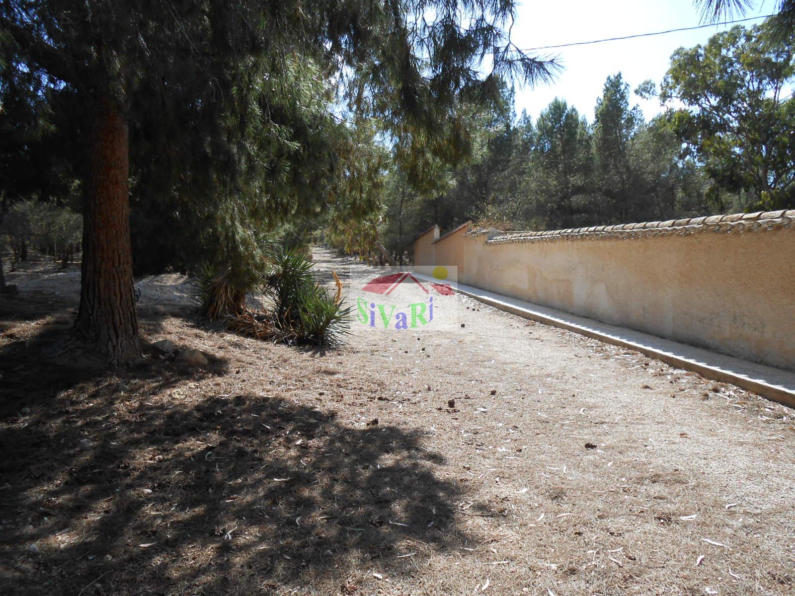 For sale of chalet in Abarán