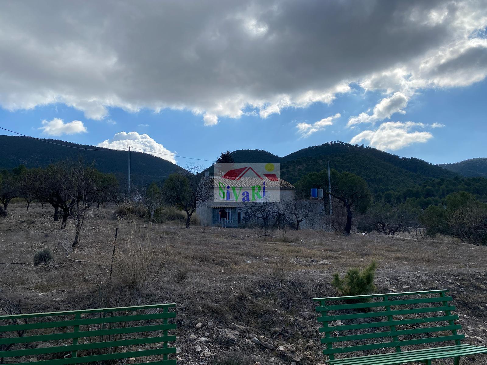 Venta de finca rústica en Ricote