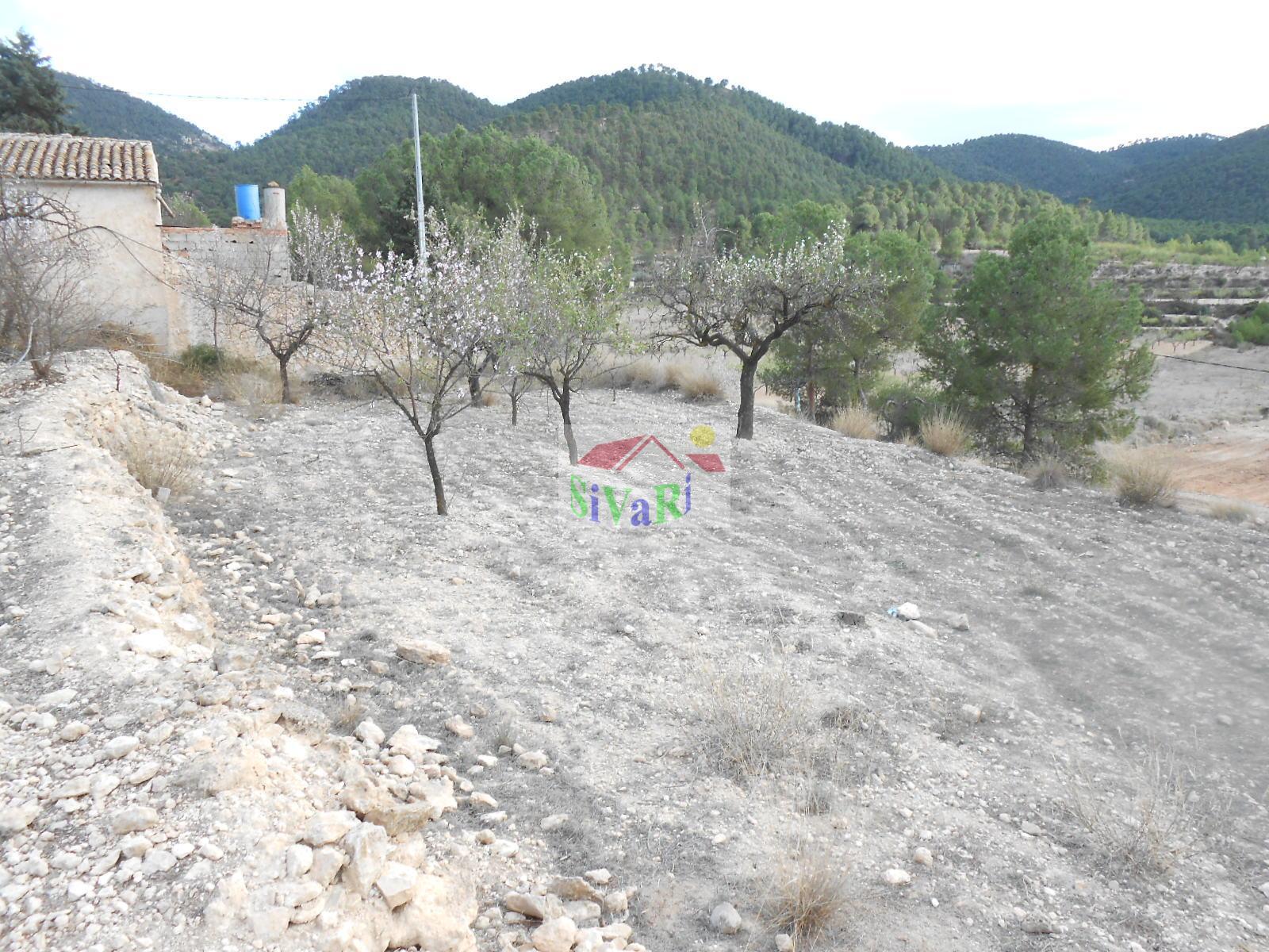 For sale of rural property in Ricote