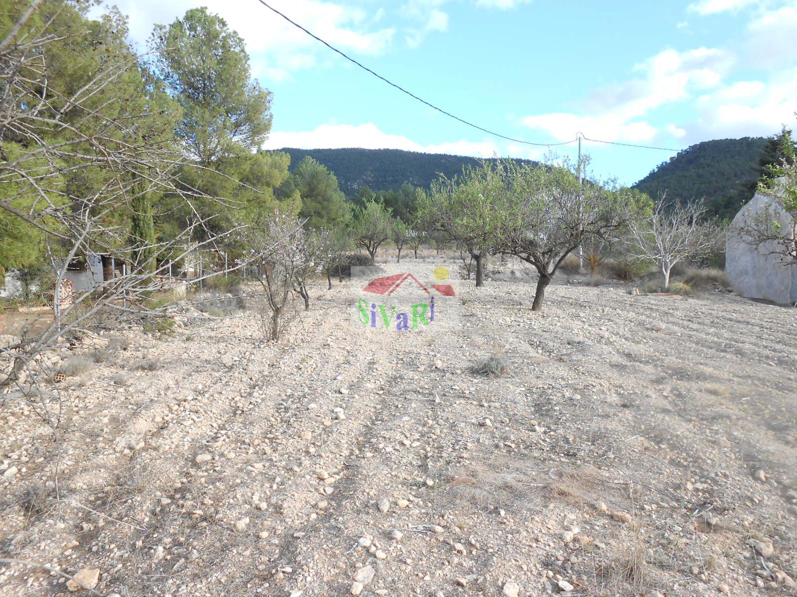 For sale of rural property in Ricote