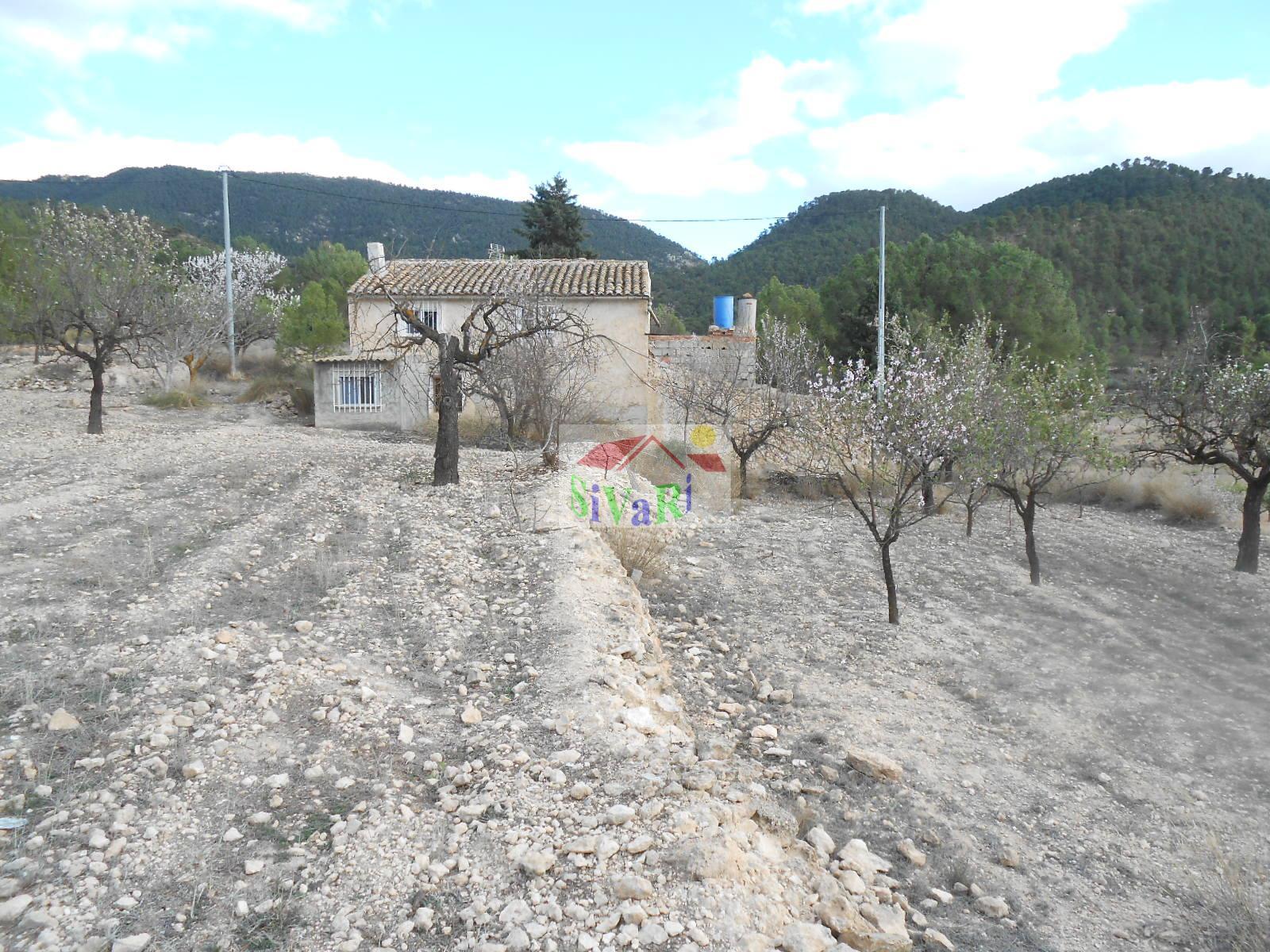 For sale of rural property in Ricote