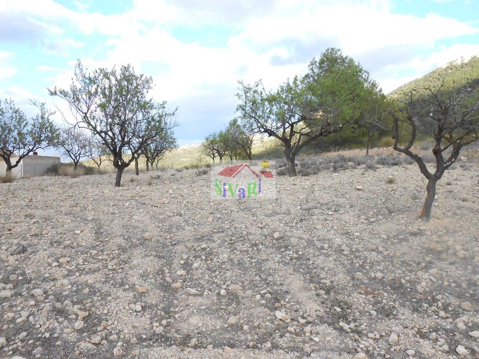 For sale of rural property in Ricote