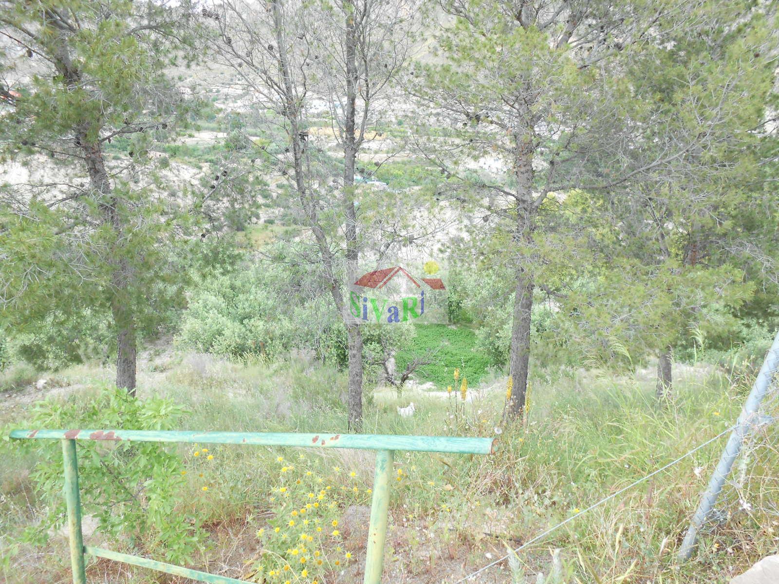 For sale of house in Abarán