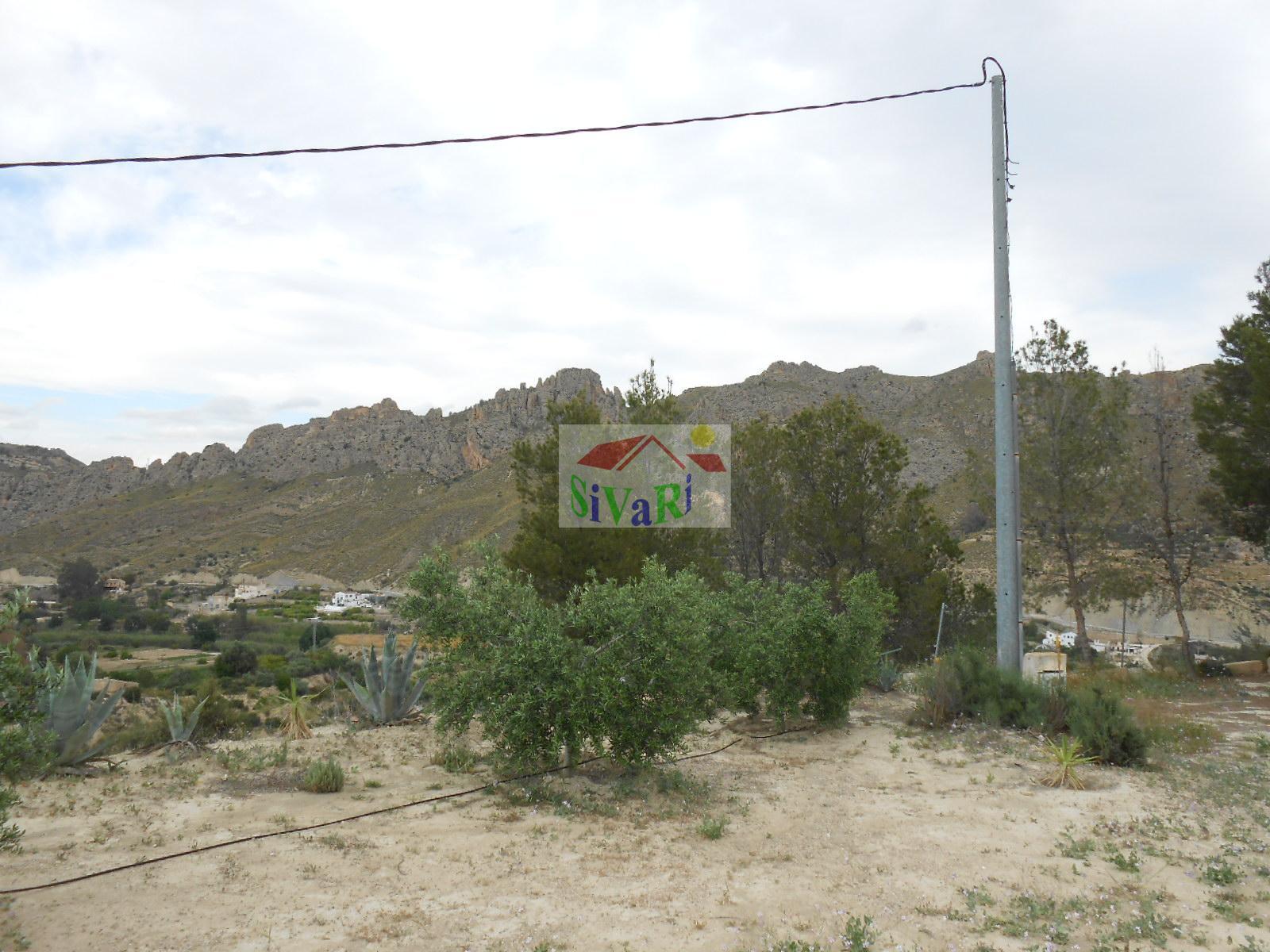 For sale of house in Abarán
