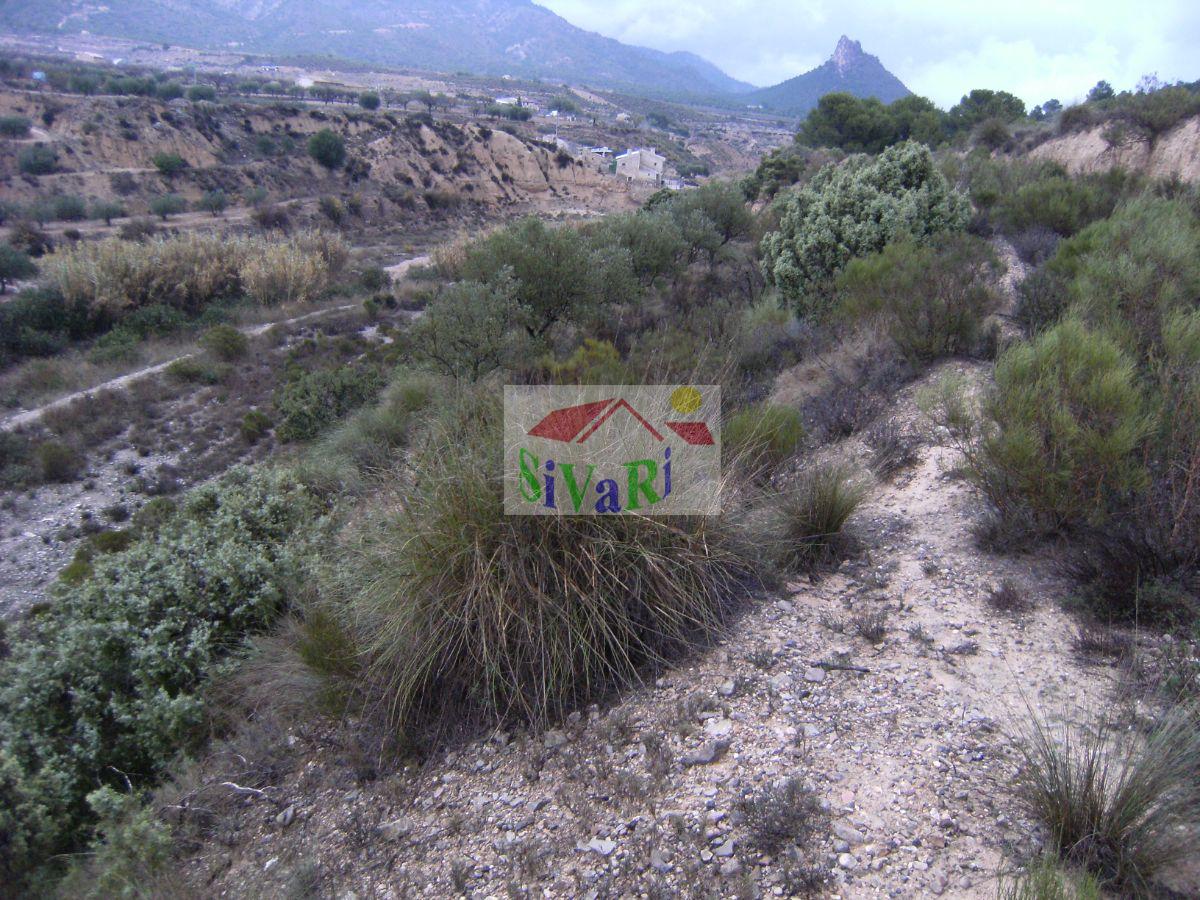 For sale of land in Ricote