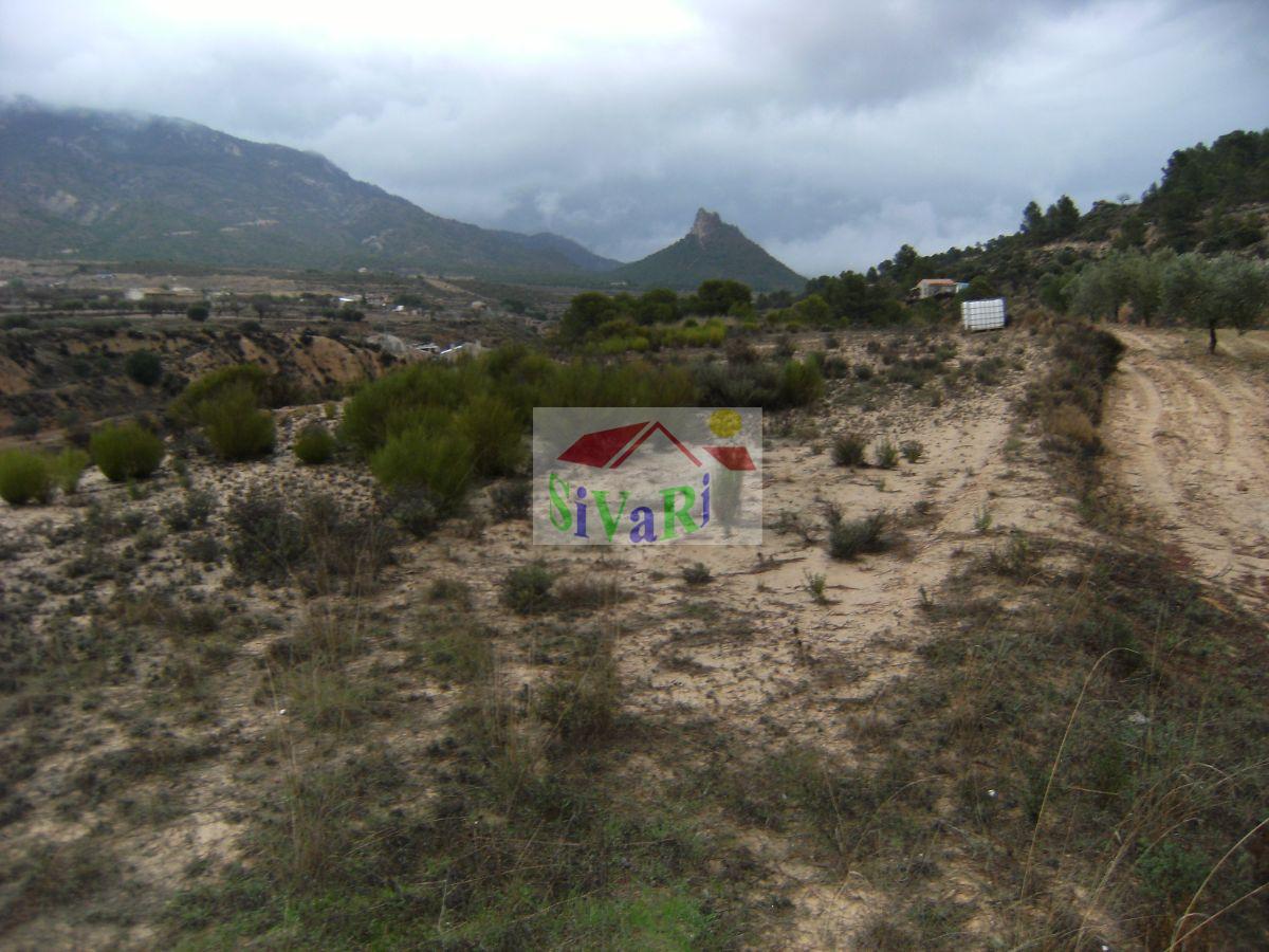 For sale of land in Ricote