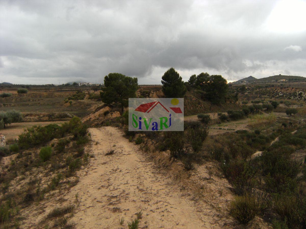 For sale of land in Ricote