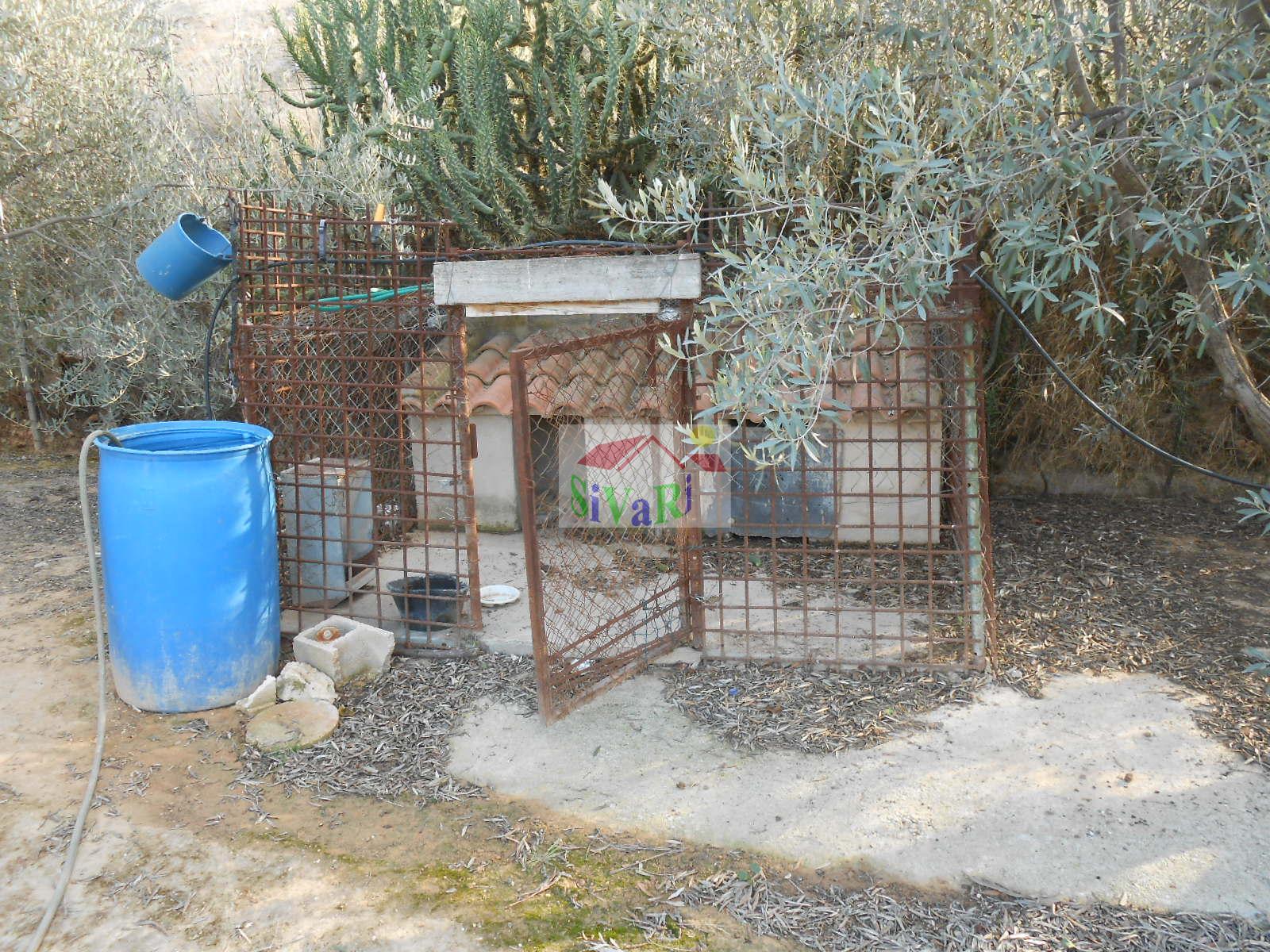 For sale of house in Abarán