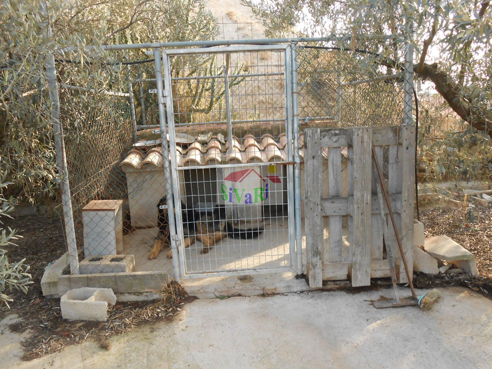 For sale of house in Abarán