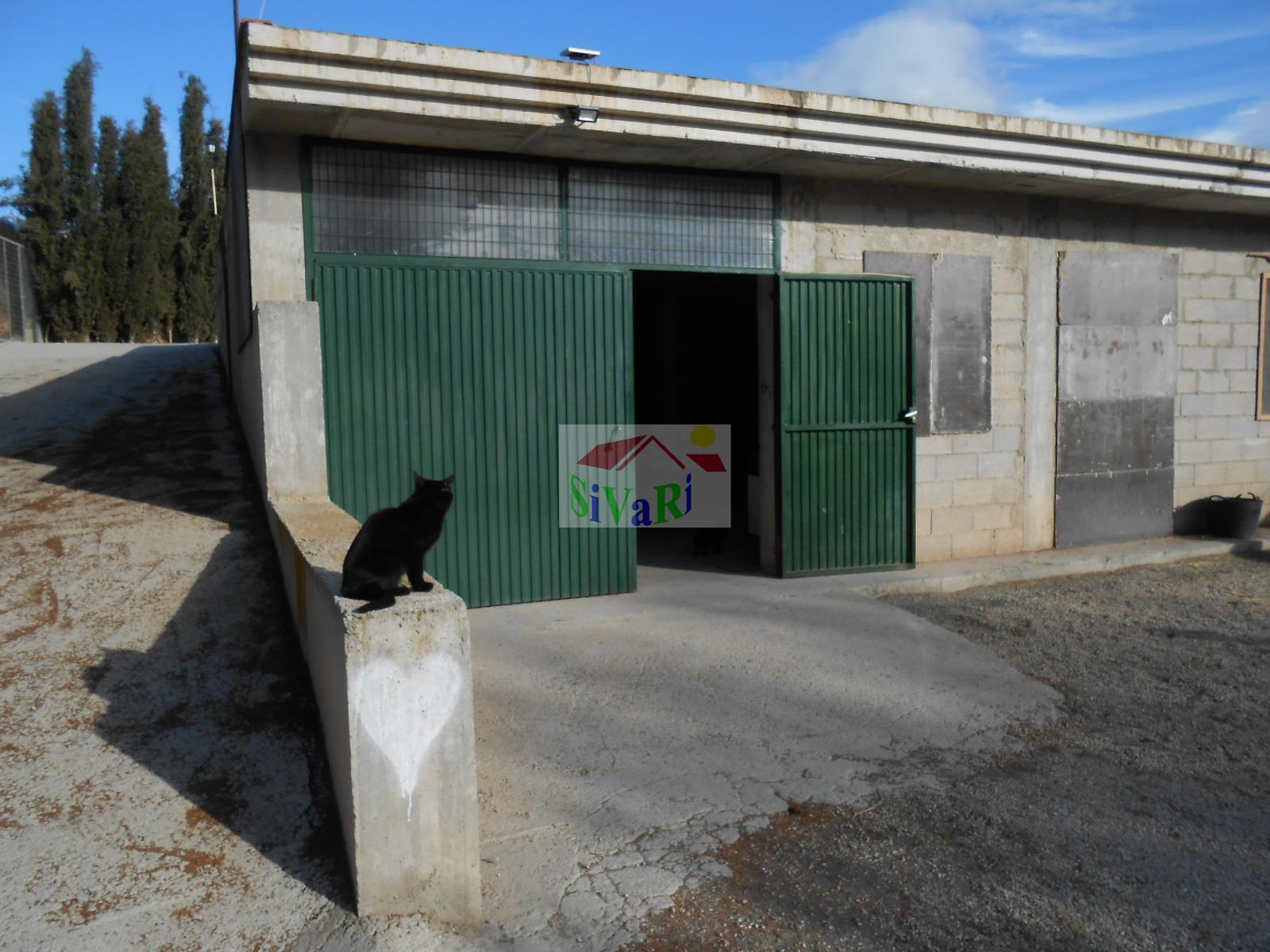 For sale of house in Abarán