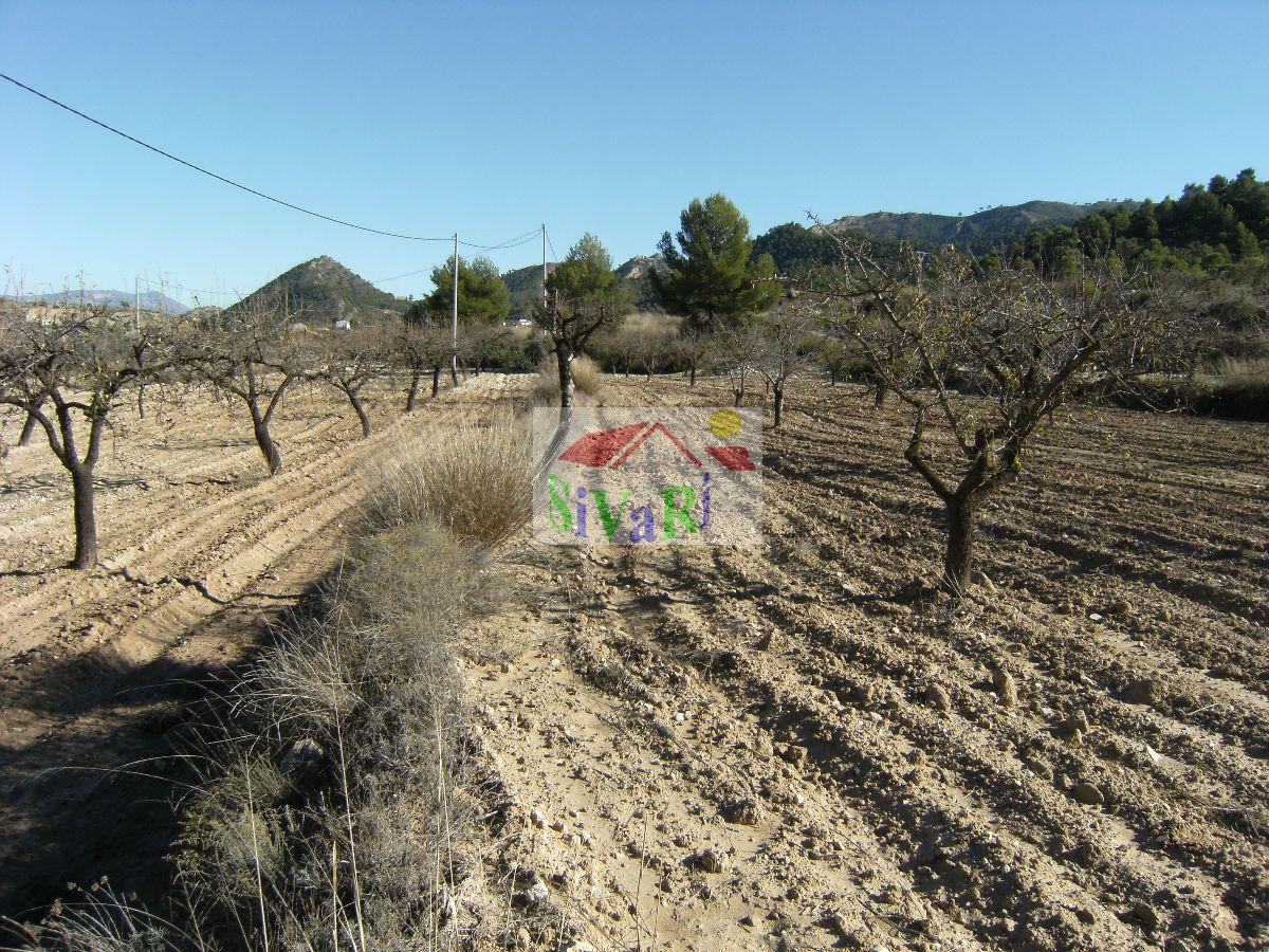 For sale of land in Ricote