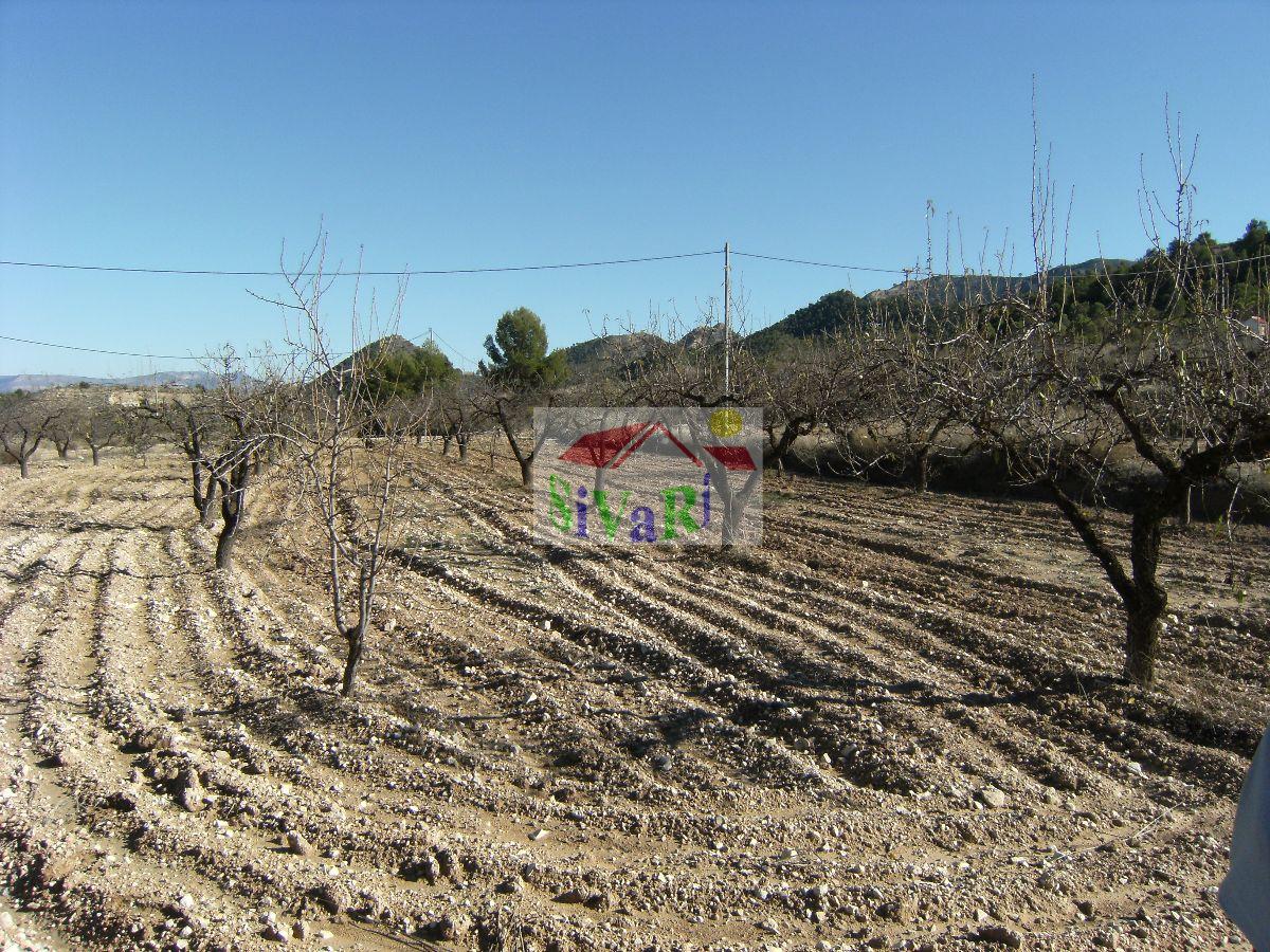 For sale of land in Ricote