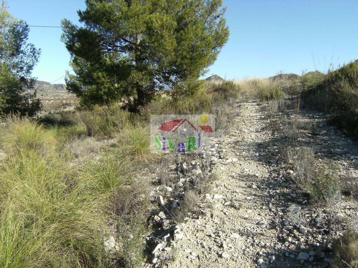 For sale of land in Ricote