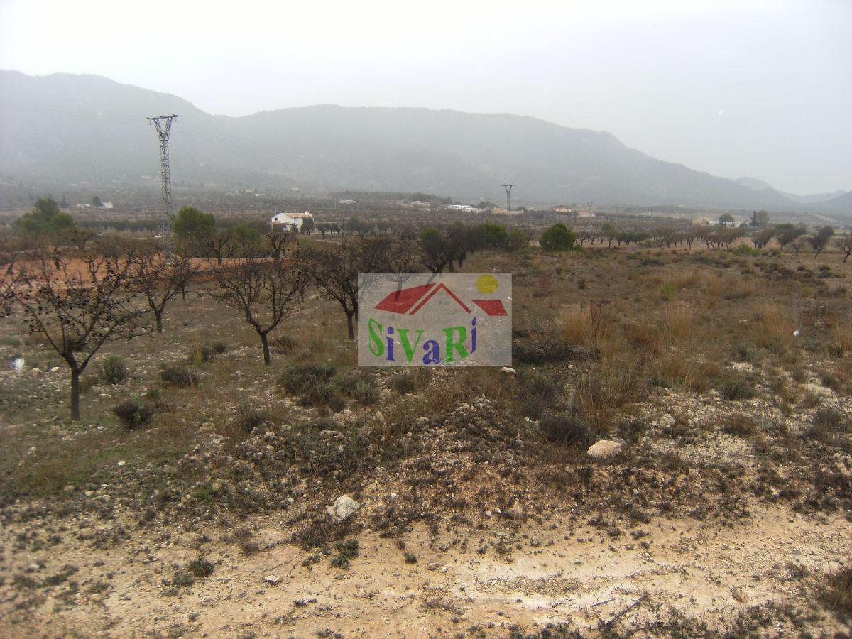 For sale of land in Ricote