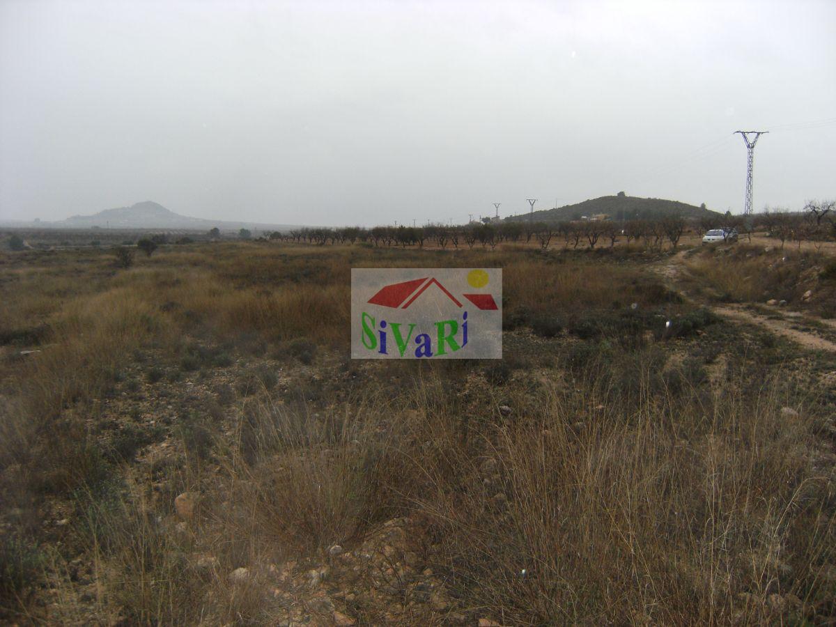 For sale of land in Ricote