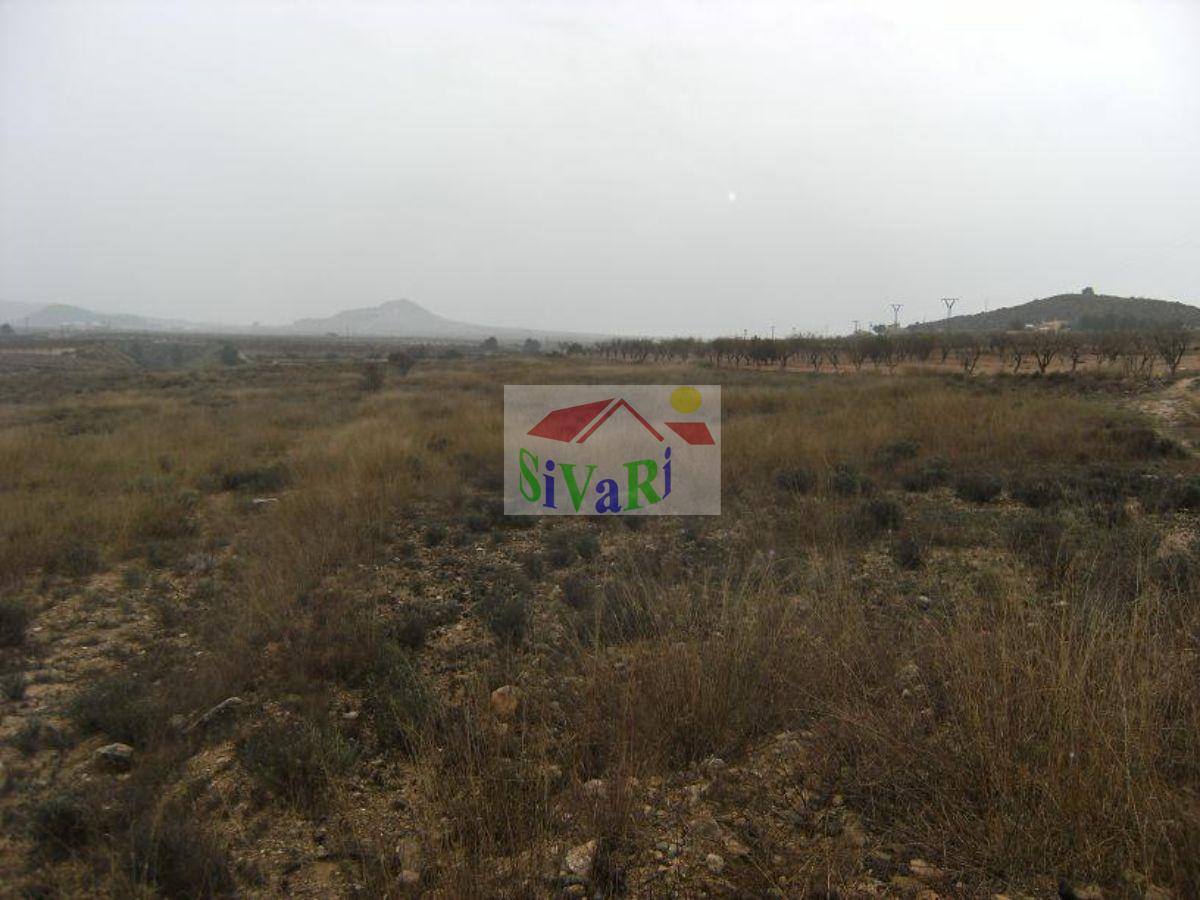 For sale of land in Ricote