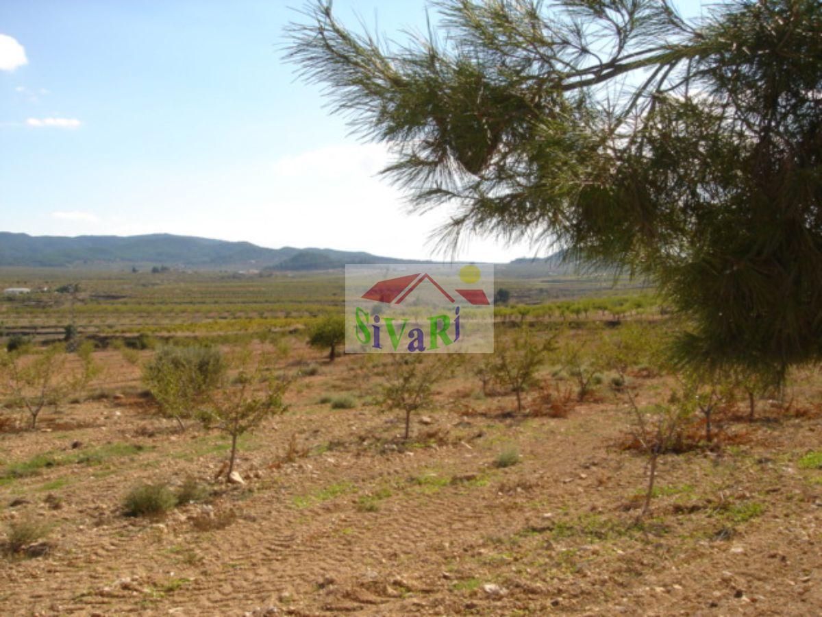 For sale of house in Ricote