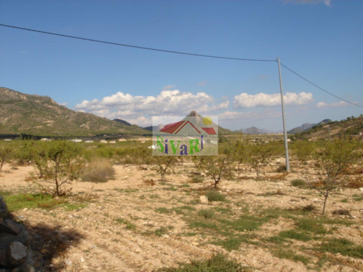 For sale of house in Ricote