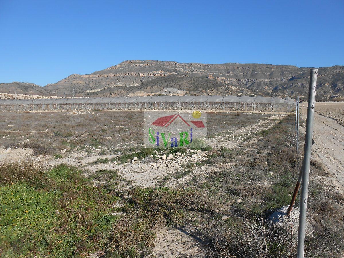 For sale of rural property in Blanca