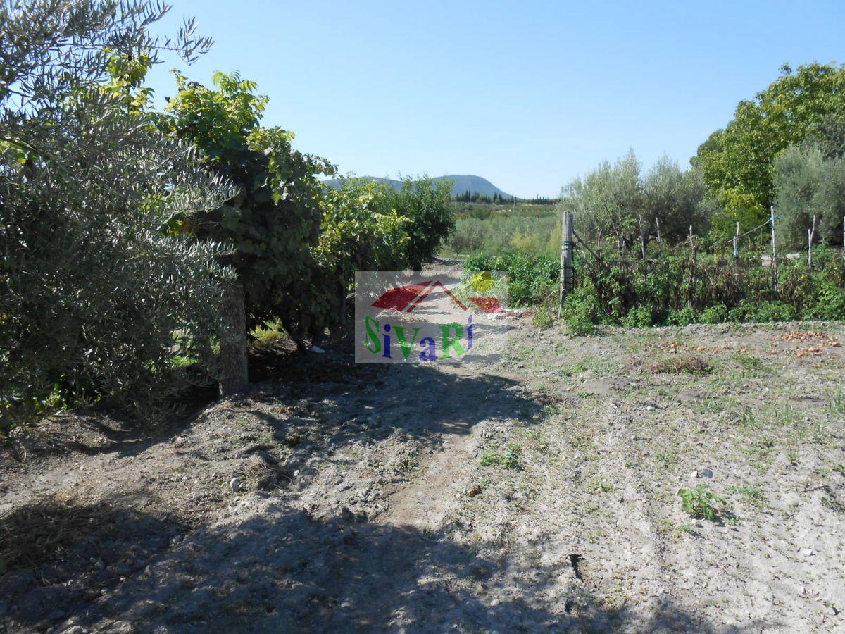 For sale of land in Caravaca de la Cruz